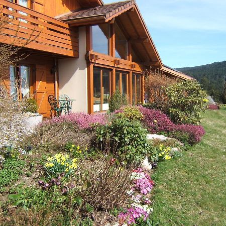 B&B Chalet l'Epinette Gérardmer Eksteriør bilde
