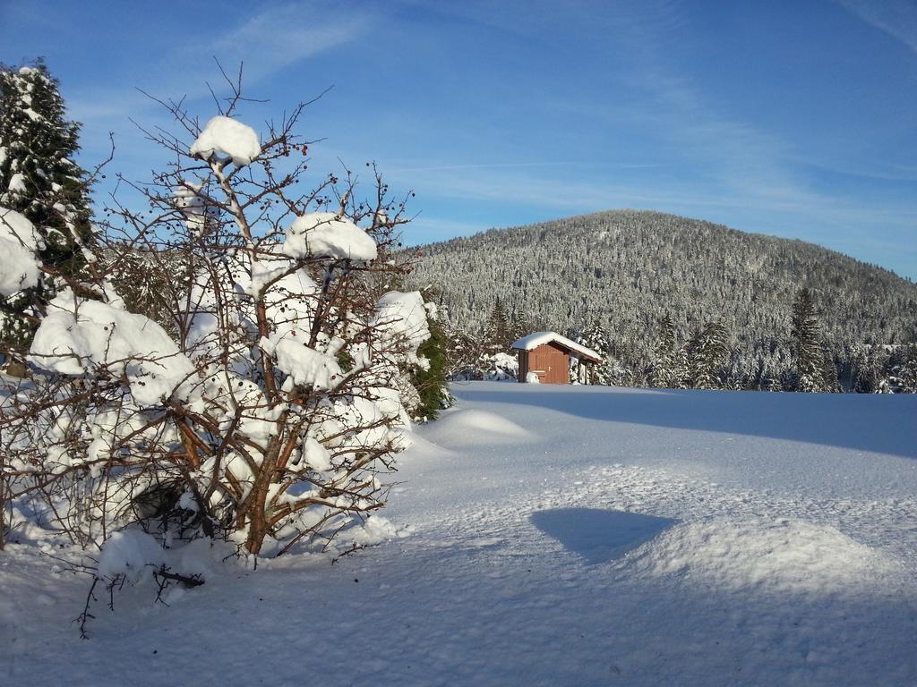 B&B Chalet l'Epinette Gérardmer Eksteriør bilde