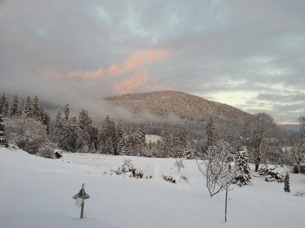 B&B Chalet l'Epinette Gérardmer Eksteriør bilde