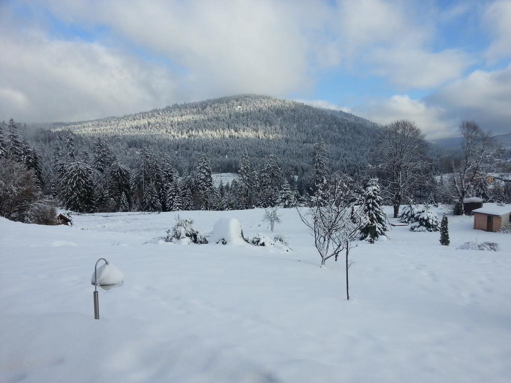 B&B Chalet l'Epinette Gérardmer Eksteriør bilde