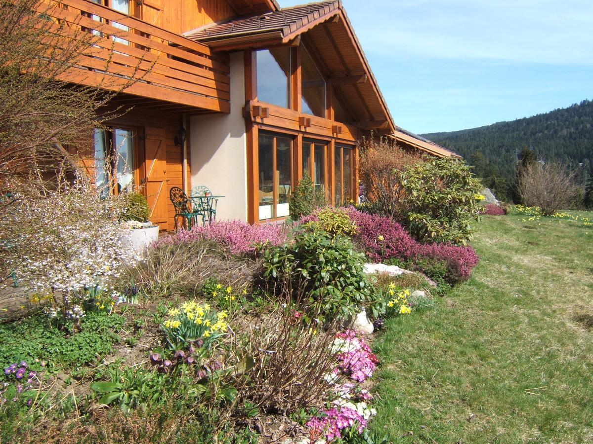 B&B Chalet l'Epinette Gérardmer Eksteriør bilde